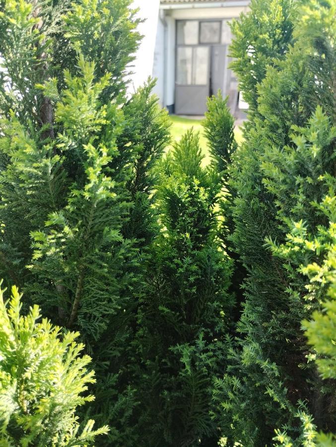 Marija Apartman Osijek Exterior foto