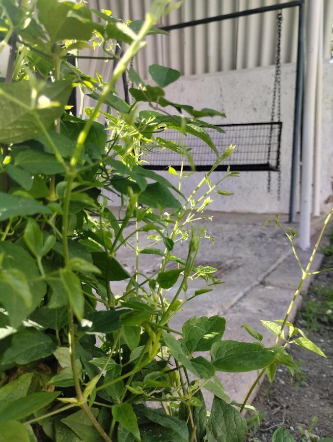 Marija Apartman Osijek Exterior foto